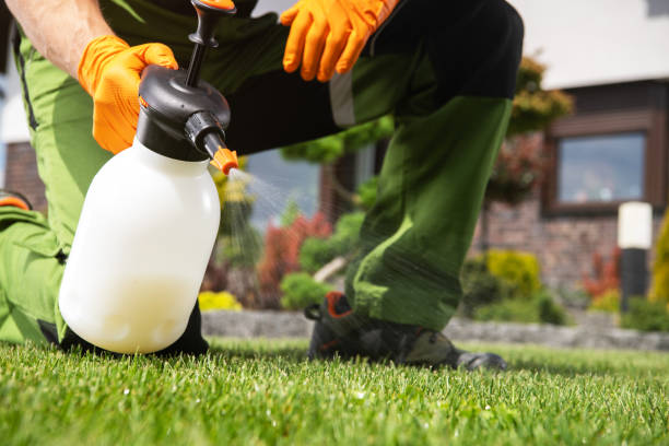 Bird Control in Utica, IN