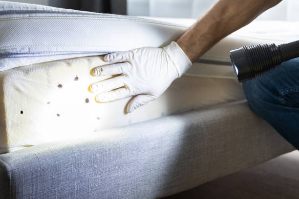 Best Mosquito Control Services  in Utica, IN