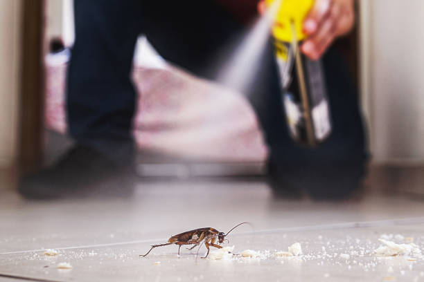 Best Best Pest Control Companies  in Utica, IN