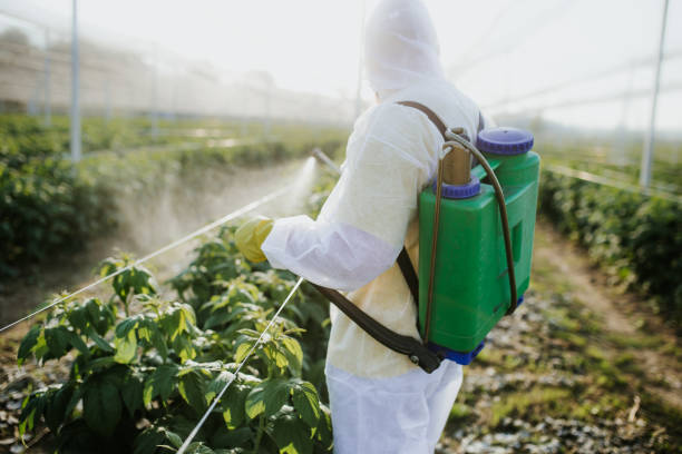 Best Residential Pest Control  in Utica, IN
